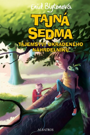 Tajn sedma - Tajemstv ukradenho nhrdelnku - Enid Blytonov