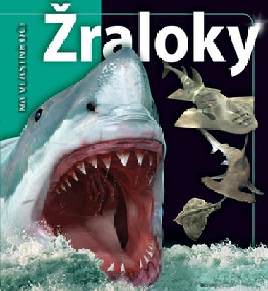 raloky - Beverly McMillan; John A. Musick
