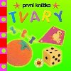 Tvary prvn knka - 