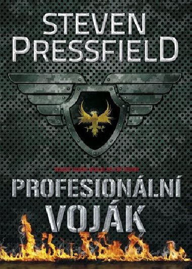 Profesionln vojk - Steven Pressfield
