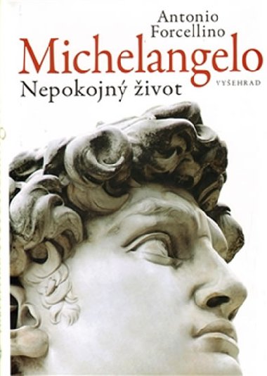 Michelangelo - Antonio Forcellino