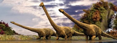 Zloka - ھaska - Dinosaui - neuveden