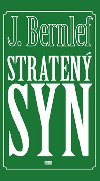Straten syn - J. Bernlef