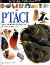Ptci - 